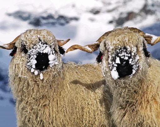 Cute Blacknose Sheep In Snow paint by numbers