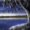 Lonely Willow Tree Art paint by numbers