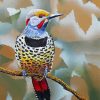 Northern Flicker Art paint by numbers