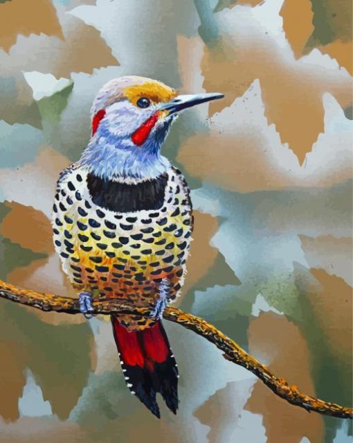 Northern Flicker Art paint by numbers