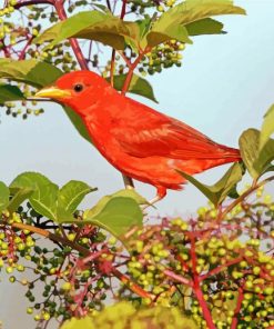 Bird In Tree Branch paint by numbers