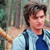 Steve Harrington Character paint by numbers