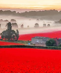 Aesthetic English Poppy Field Paint By Numbers