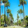 Beverly Hills Palm Trees Road Paint By Number