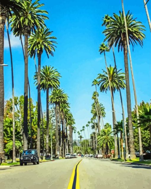 Beverly Hills Palm Trees Road Paint By Number