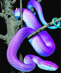 Bluish Purple Snake Paint By Number