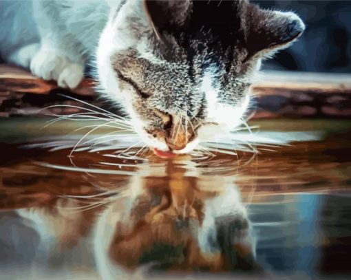 Cat Drinking Water Paint By Number