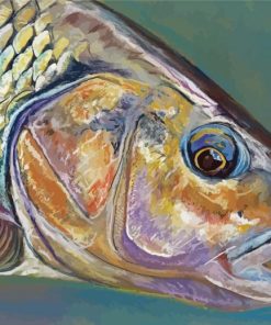 Chub Fish Close Up Paint By Numbers