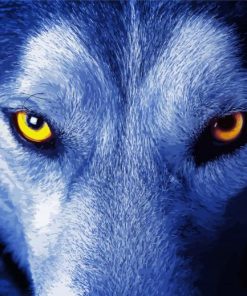 Close Up Wolf Eyes Paint By Number