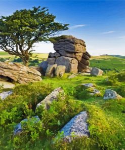 Dartmoor National Park Paint By Number