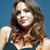 Elizabeth Gillies Paint By Numbers