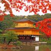 Golden Pavilion Kyoto Paint By Numbers