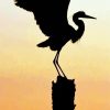 Heron Bird Silhouette Paint By Number