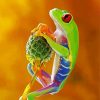 Hippie Frog Animal Paint By Number