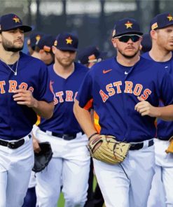 Houston Astros Team Paint By Number