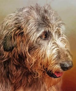 Irish Wolfhound Head Paint By Number