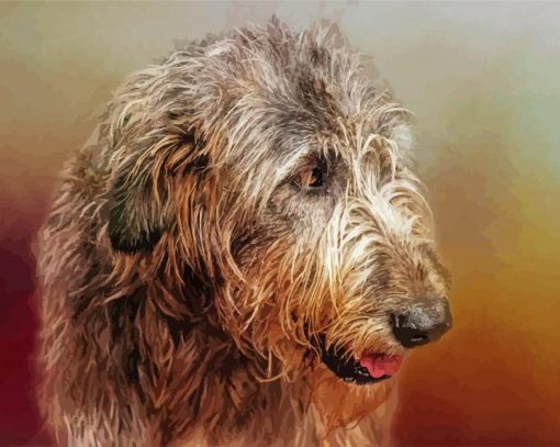 Irish Wolfhound Head Paint By Number