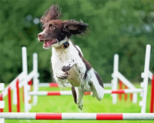 Jumping Dog Agility Paint By Number