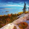 Koli National Park Paint By Number