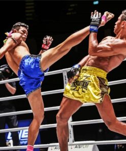 Muay Thai Sport Paint By Numbers