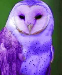 Purple Owl Paint By Numbers