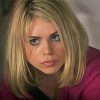 Rose Tyler Paint By Numbers