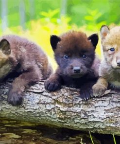 Three Wolf Pups Paint By Number