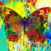 Aesthetic Abstract Butterfly Art Paint By Numbers