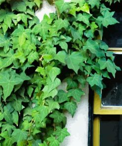 Aesthetic Green Vines Plants Paint By Number