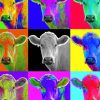 Aesthetic Pop Art Cow Paint By Number