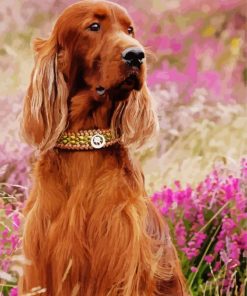 Aesthetic Red Setter Paint By Number