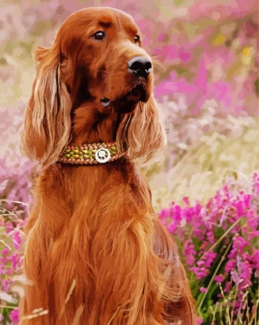 Aesthetic Red Setter Paint By Number