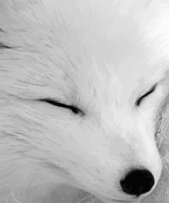 Aesthetic Black And White Fox Paint By Number