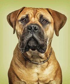 Aesthetic Bull Mastiff Paint By Number