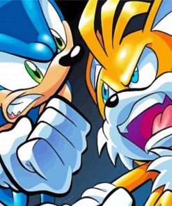 Angry Sonic And Tails Paint By Number