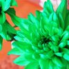 Beautiful Green Flowers Paint By Number