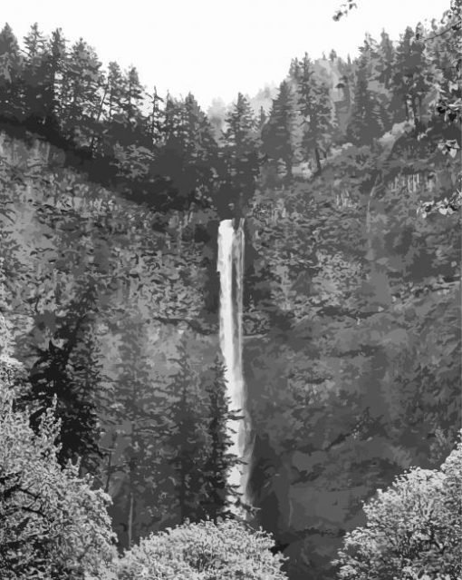 Black And White Multnomah Falls Paint By Number