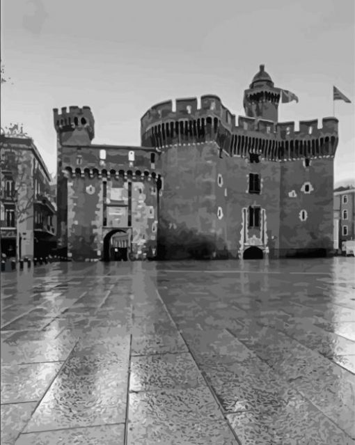 Black And White Perpignan City Paint By Number