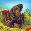 Brown English Labrador Puppy Paint By Numbers