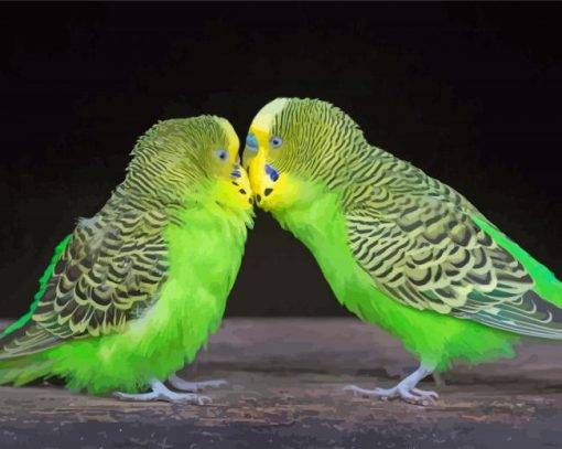 Budgies Lovers Paint By Number