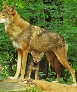 Cute Wolf With Pup Paint By Number