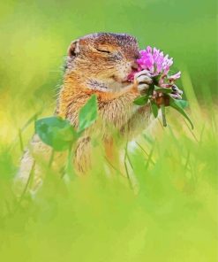 Cute Animal With Flowers Paint By Number