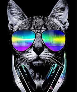 Dj Cat Wearing Headphones Paint By Numbers