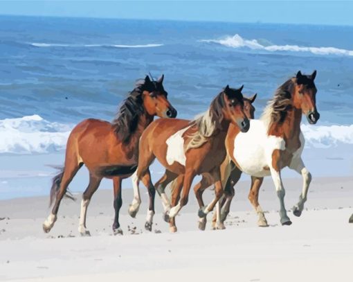 Horse Beach Paint By Number