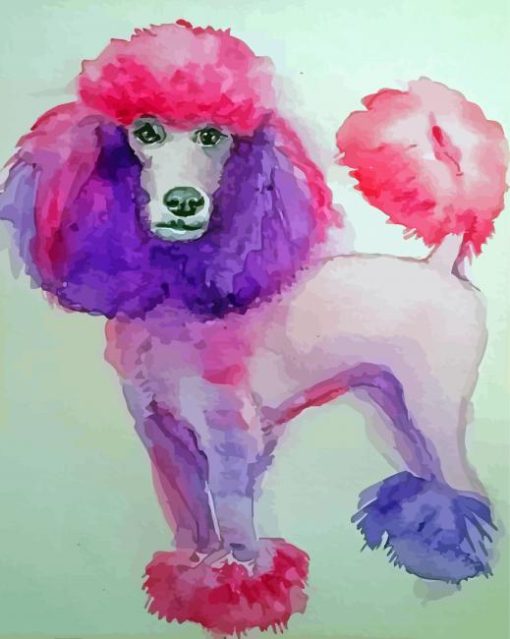 Pink Poodle Paint By Numbers