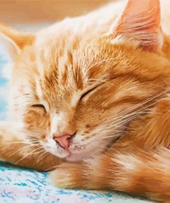 Sleepy Orange Tabby Cat Paint By Numbers