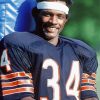 The American Football Player Walter Payton Paint By Number