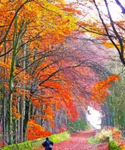 The Old Railway Derbyshire Paint By Numbers