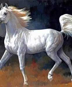 White Arabian Horse Paint By Number