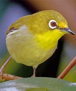 Wonderful Ring Eyed Bird Paint By Numbers